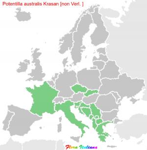 Potentilla australis Krasan [non Verl. ]